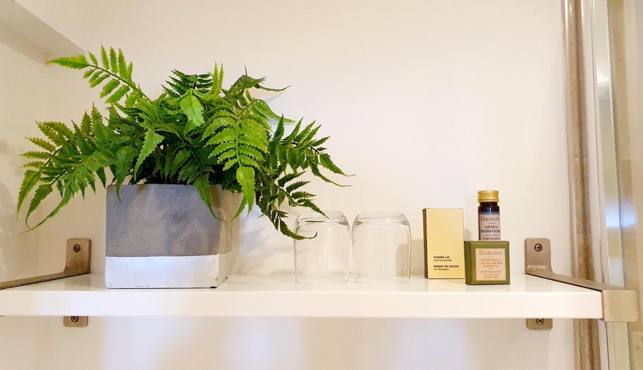 อะ รูม วิธ อะ วิว โฮเต็ล Hotel Brighton ภายนอก รูปภาพ A fern in a bathroom